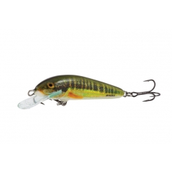 SALMO  MINNOW  5cm sinking-floating